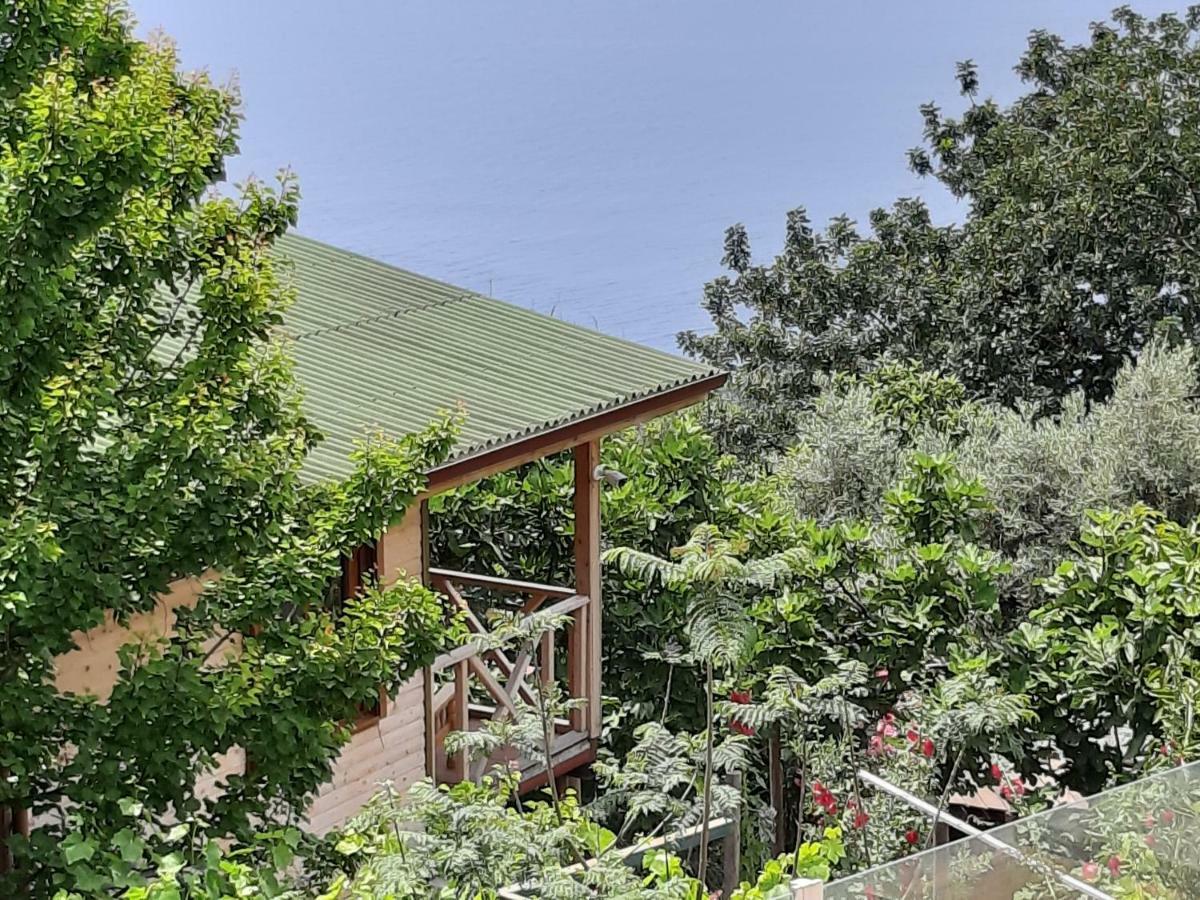 Casa Roja Apartment Cedit Exterior photo